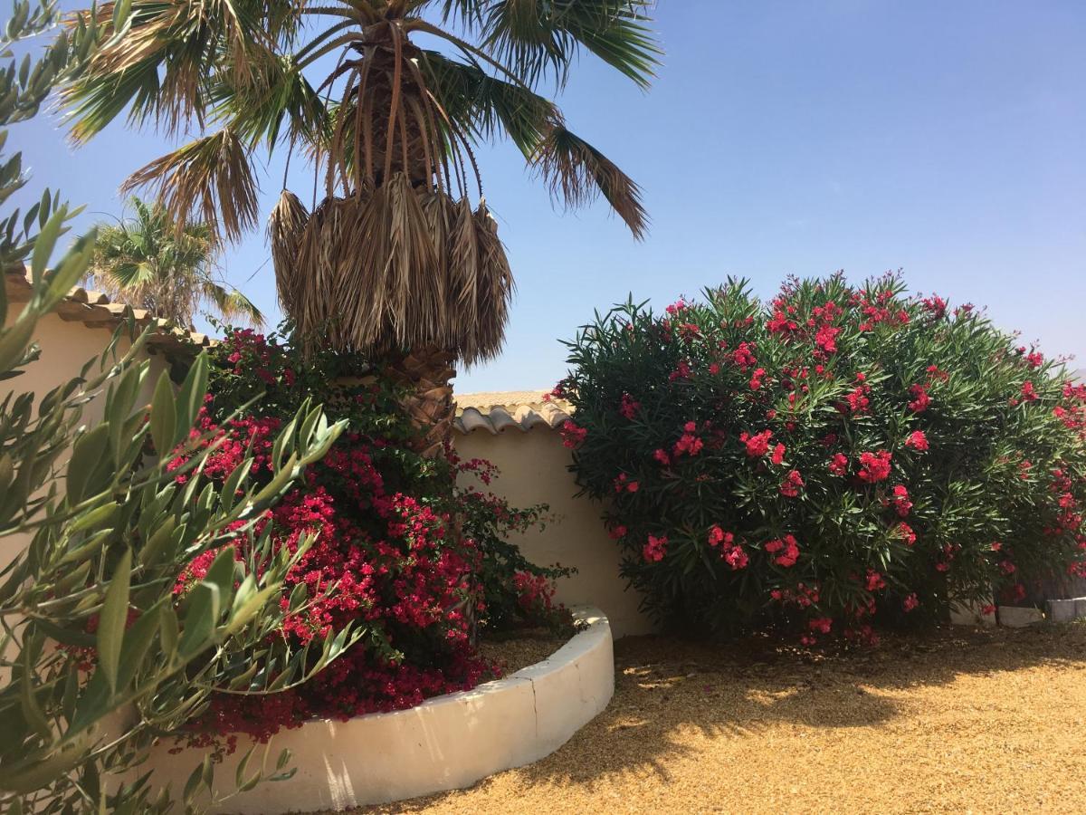 Cortijo Esquina B&B Guesthouse Arboleas Extérieur photo